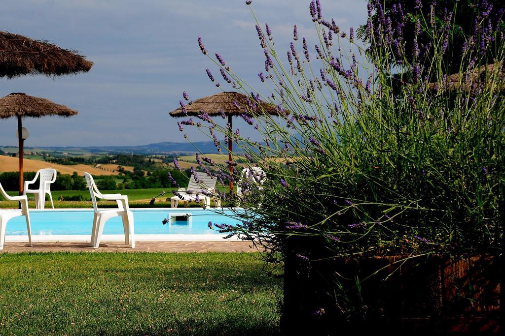 Agriturismo Castello Saltemnano Buonconvento Exterior photo